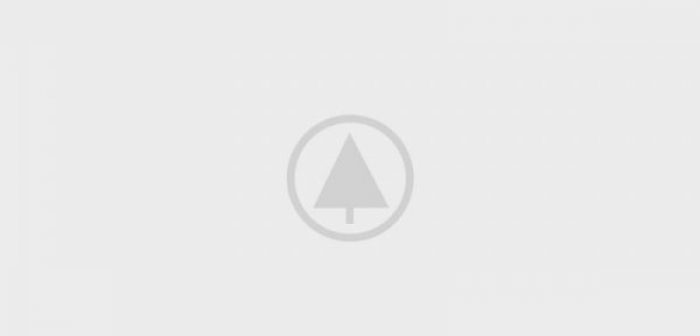 wood-gallery-placeholder-4