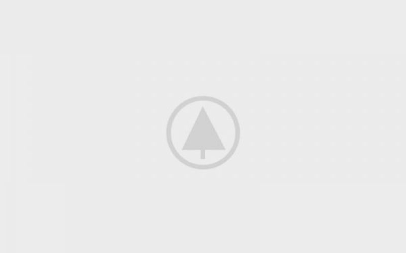 wood-gallery-placeholder-4