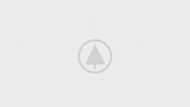 wood-gallery-placeholder-5