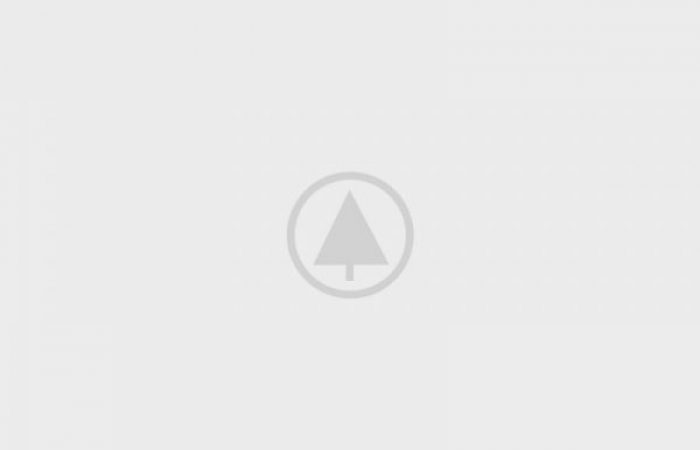 wood-portfolio-placeholder
